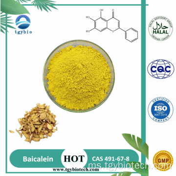 Ekstrak Scutellaria Baicalensis semulajadi 98% baicalein